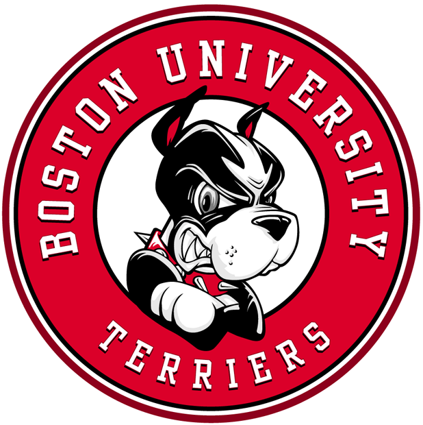 Boston University Terriers 2005-Pres Alternate Logo diy fabric transfer
